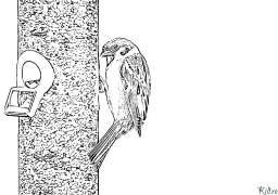 sparrows Paġni Tal-kulur Li Jistgħu Jiġu Stampati